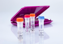 Veterinary PCR diagnostics